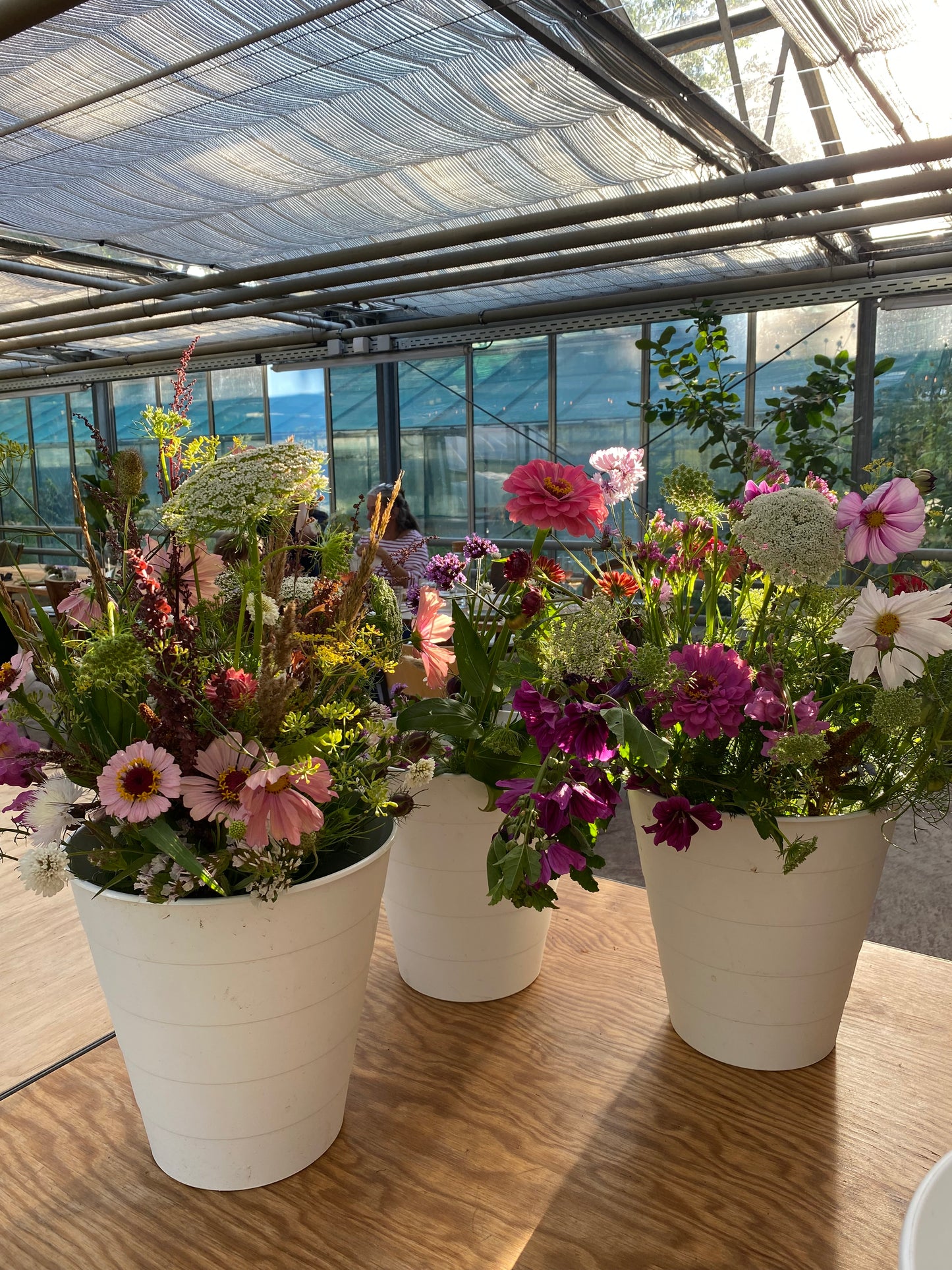 Mikrofarm Flower Club - Ernte deinen Strauß Oktober