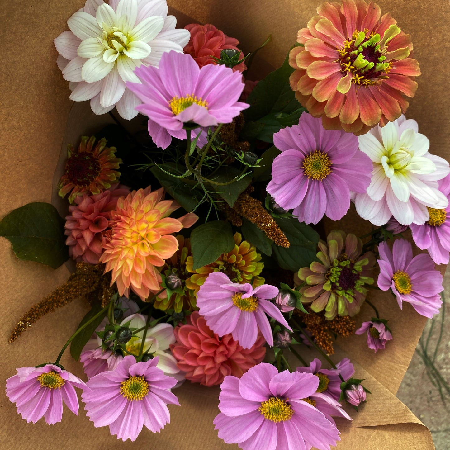 Mikrofarm Flower Club - Ernte deinen Strauß Oktober