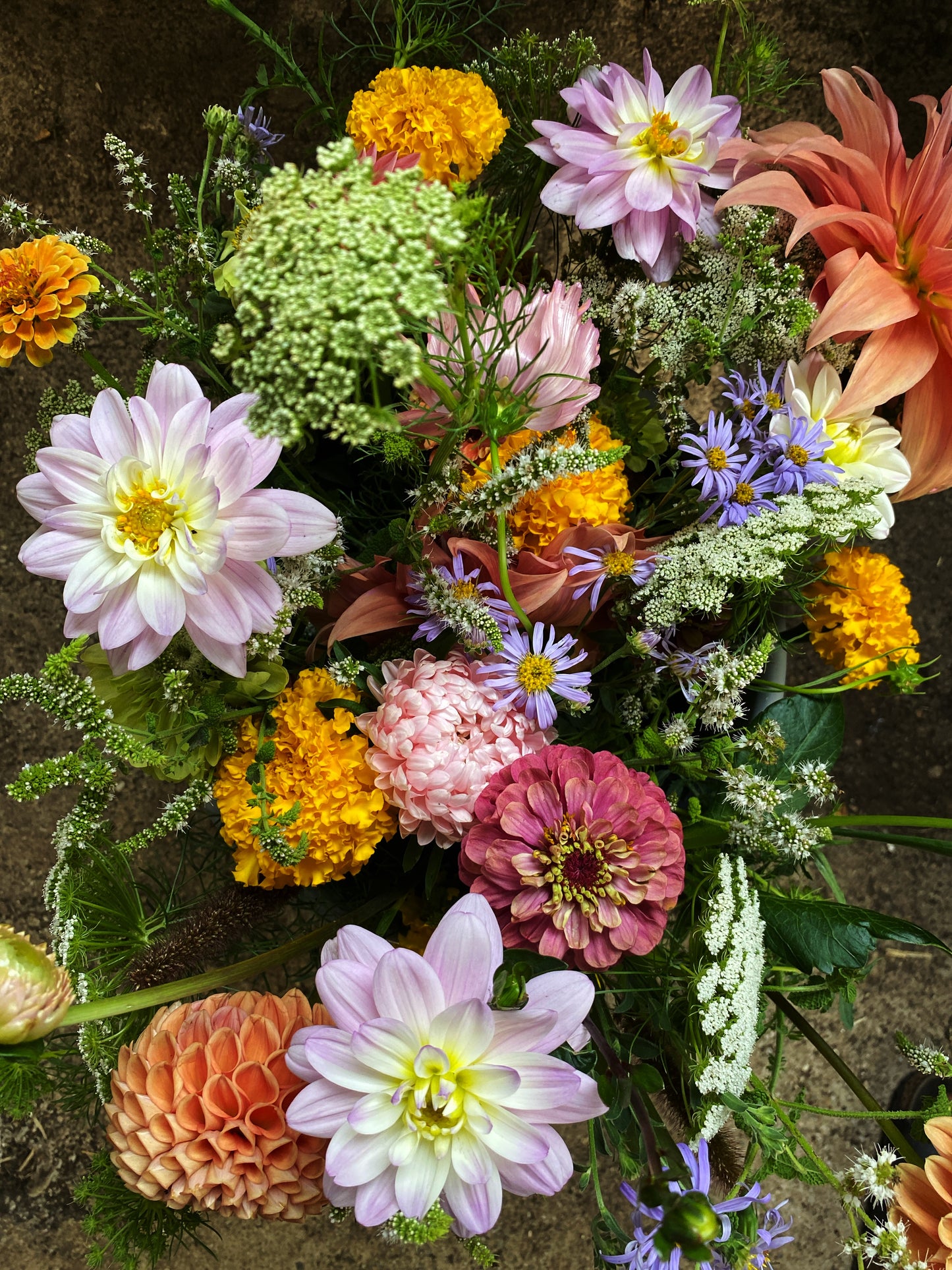 Mikrofarm Flower Club - Ernte deinen Strauß