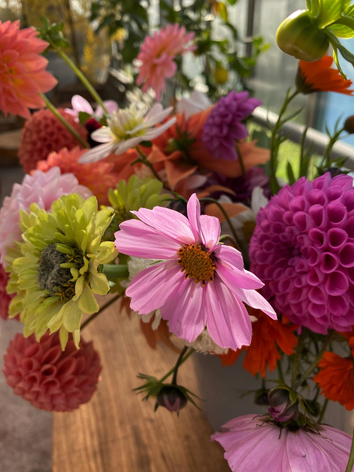 Mikrofarm Flower Club - Ernte deinen Strauß