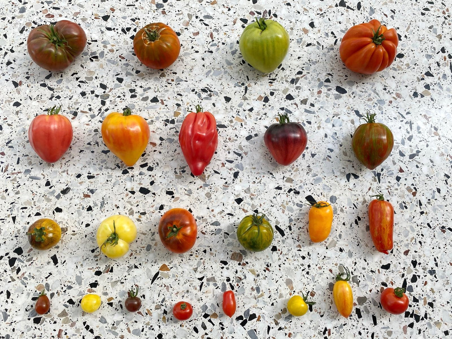 Tomaten