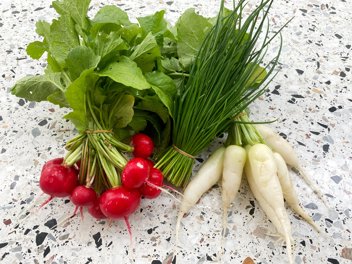 Frühlings-Paket