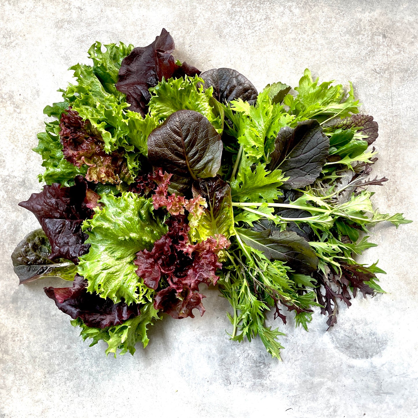 Salat-Mix