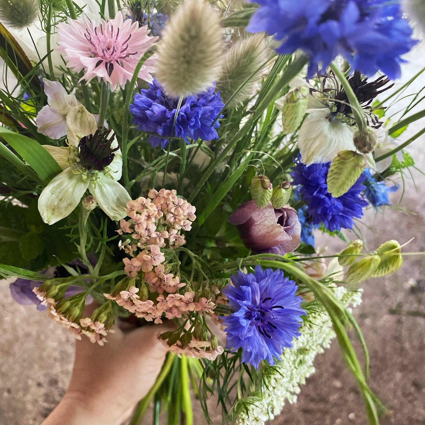 Mikrofarm Flower Club - Ernte deinen Strauß