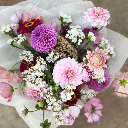 Mikrofarm Flower Club - Ernte deinen Strauß