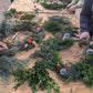 Workshop Adventskranz, Kürbiskuchen, Plätzchen