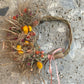 DIY Kranzset aus Trockenblumen