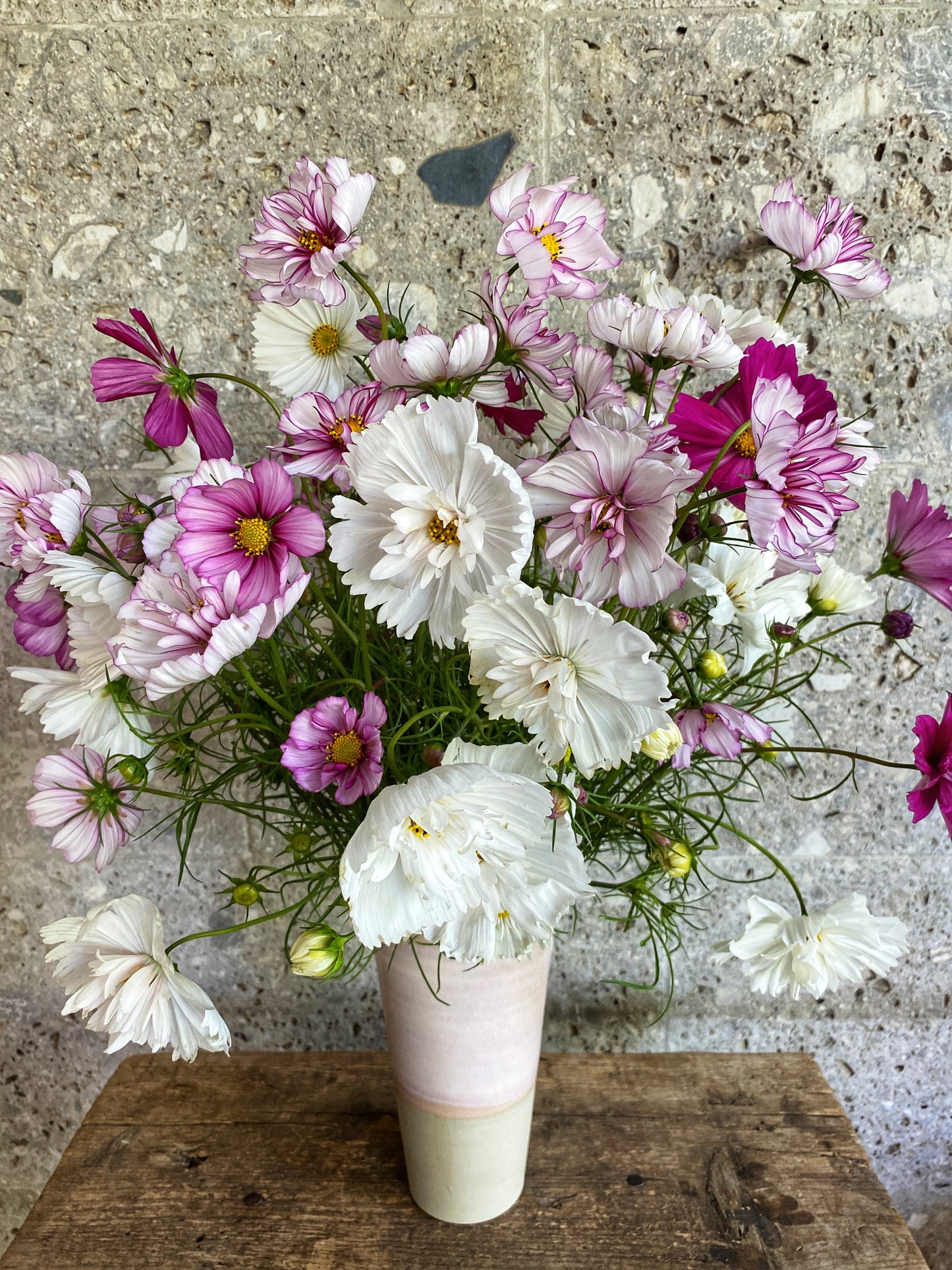 Workshop: Schnittblumenanbau im eigenen Garten