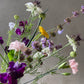Mikrofarm Flower Club - Ernte deinen Strauß