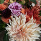 Mikrofarm Flower Club - Ernte deinen Strauß