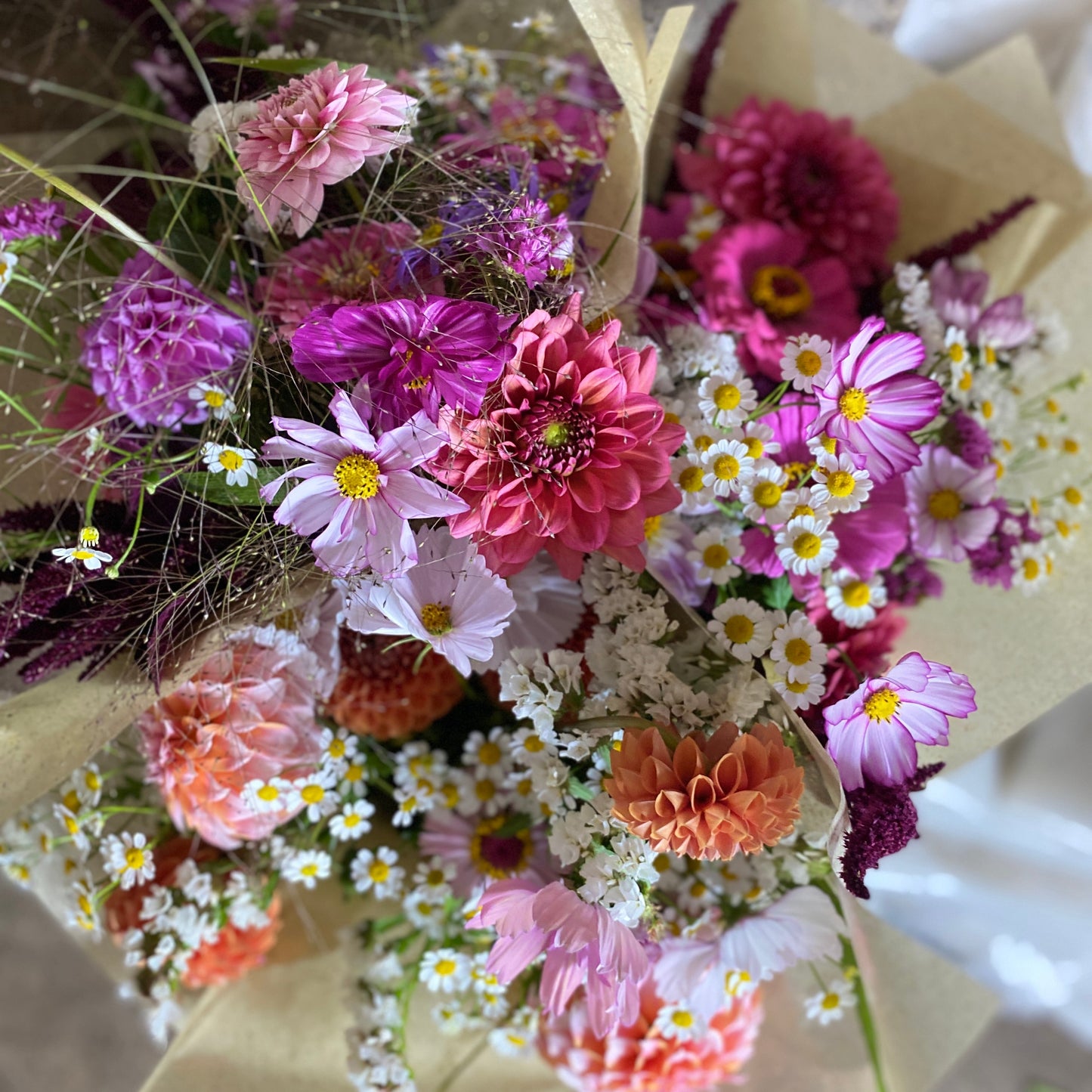 Mikrofarm Flower Club - Ernte deinen Strauß