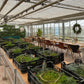 Workshop Adventskranz & Brunch