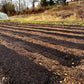 Workshop: No-Dig Gemüseanbau - ToT