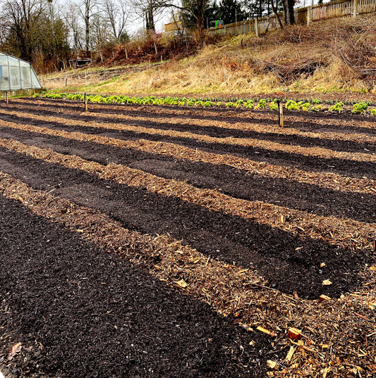Workshop: No-Dig Gemüseanbau - ToT
