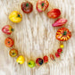 Tomaten-Mix 2 Sorten
