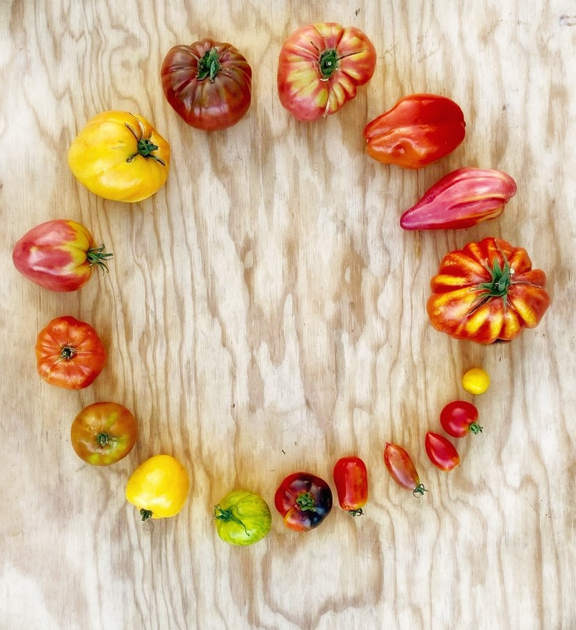 Tomaten-Mix 2 Sorten