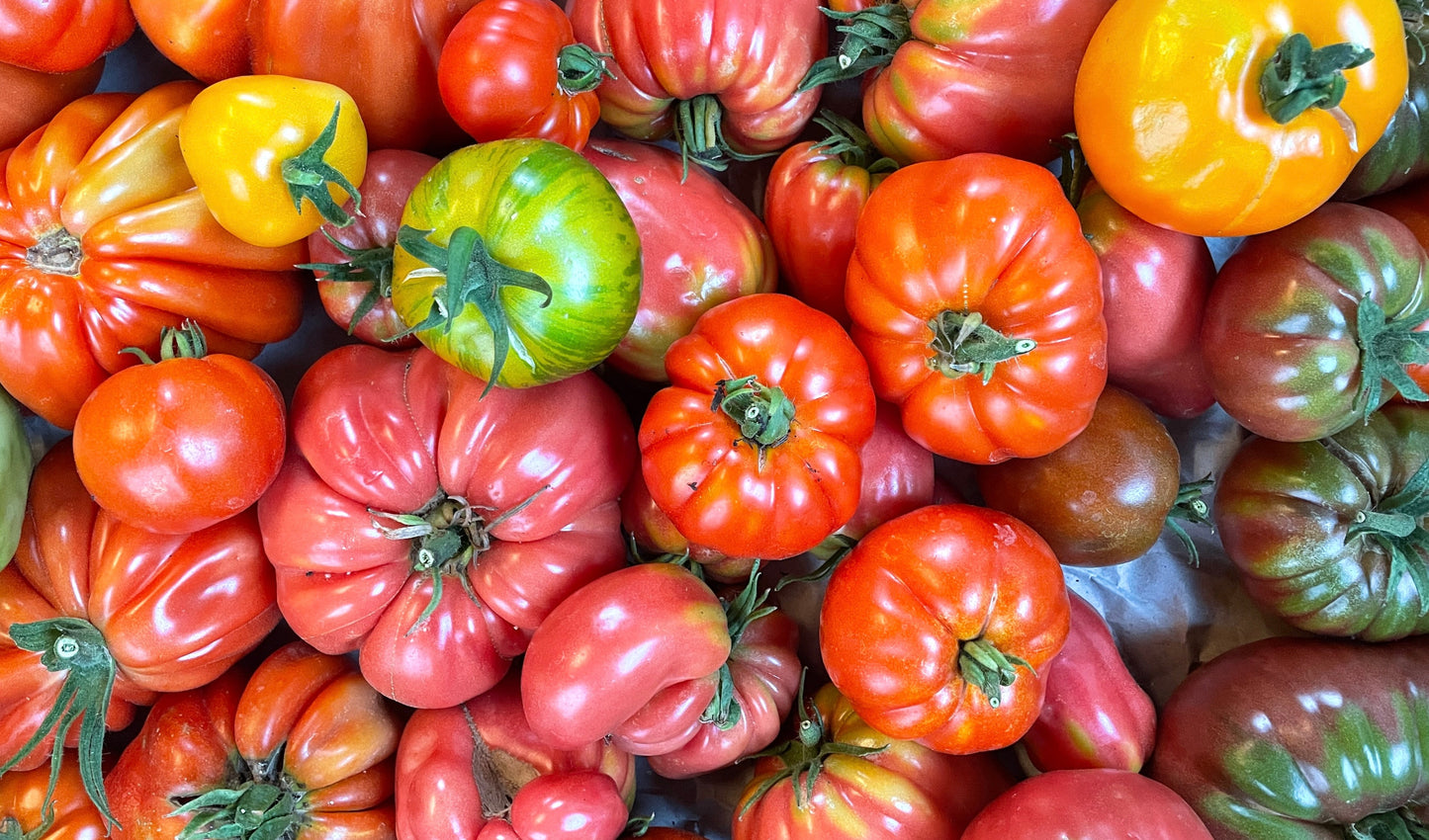 Tomaten-Mix 2 Sorten