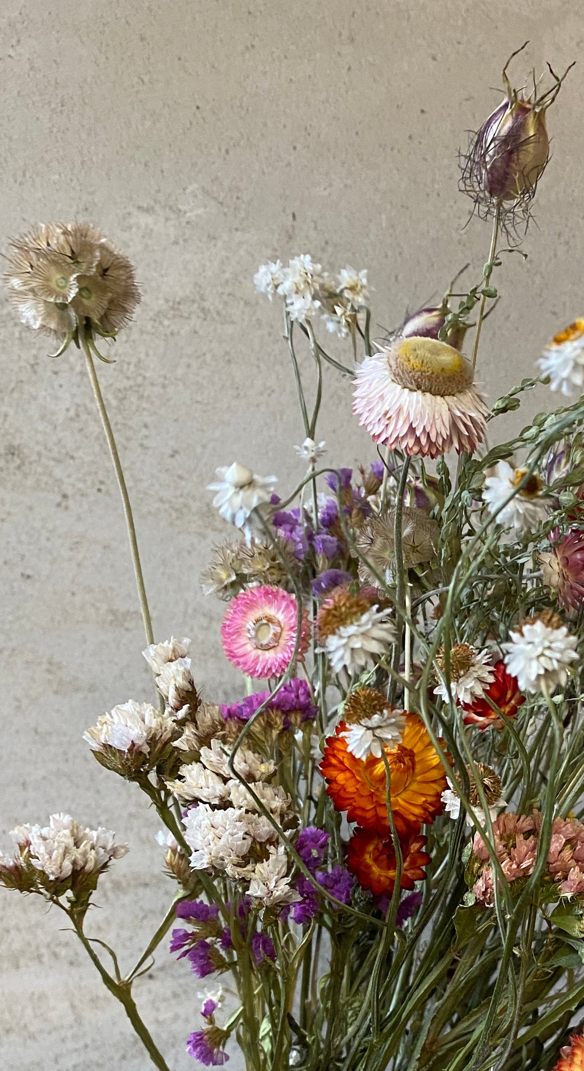 Trockenblumen-Strauß