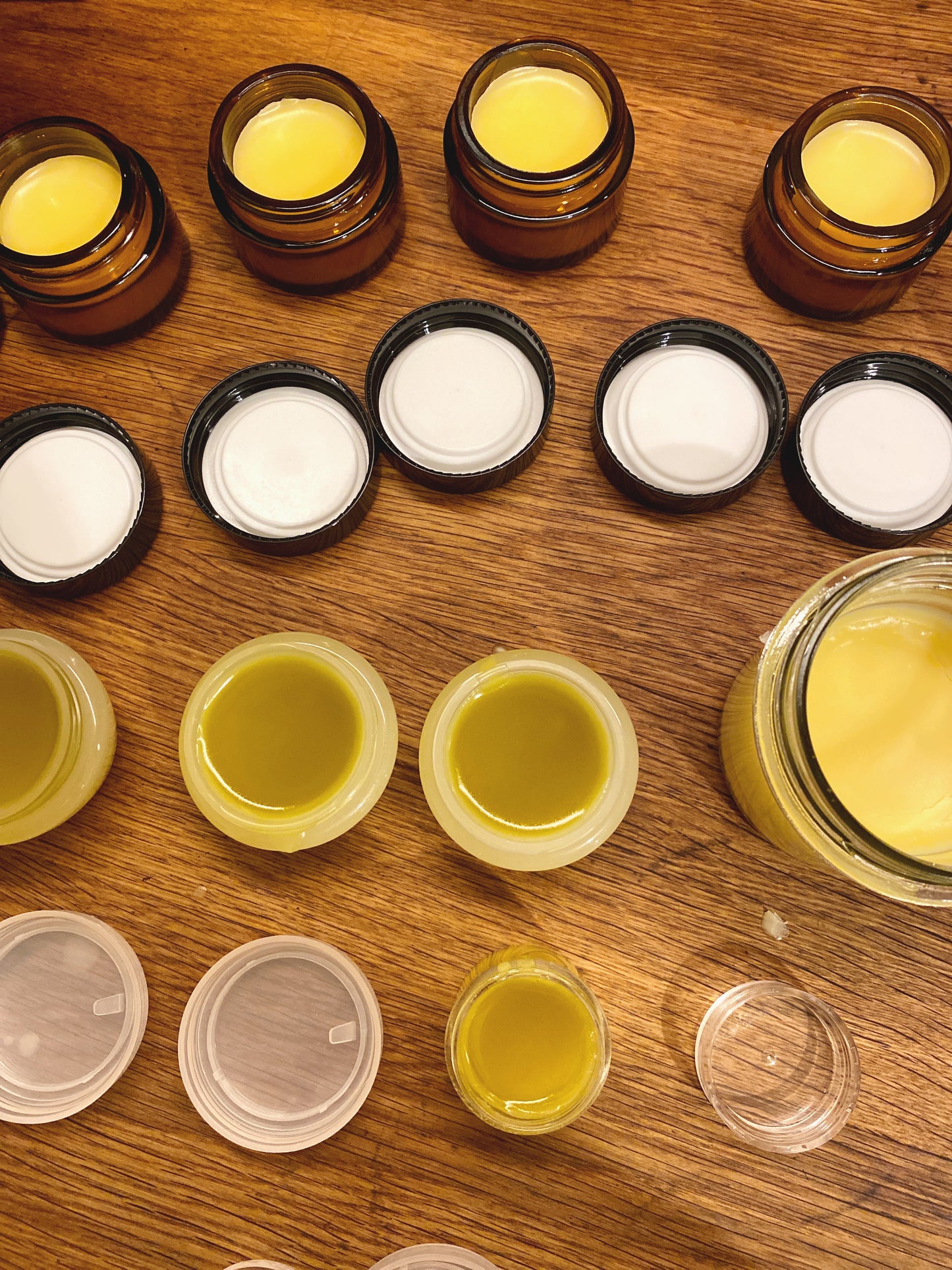 Workshop: Calendula - Creme selbst herstellen - ToT
